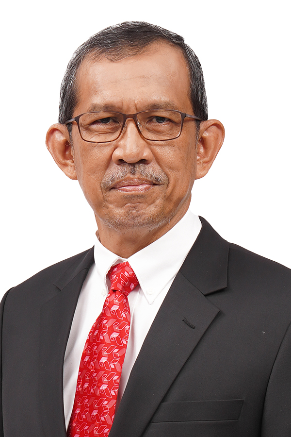 Rinaldi Firmansyah - CHAIRMAN OF NOMINATION AND REMUNERATION COMMITTEE